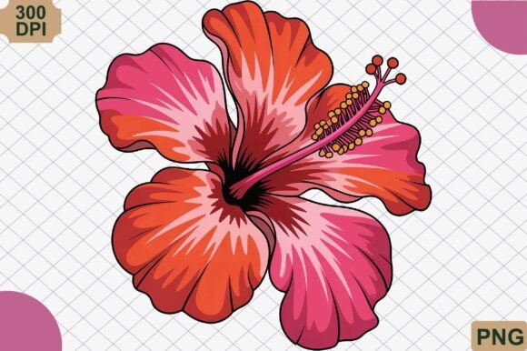 Download Hibiscus Flower, Summer PNG - Flower Collection