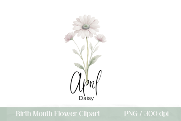 Download Birth Month Flower April Daisy PNG - Flower Collection