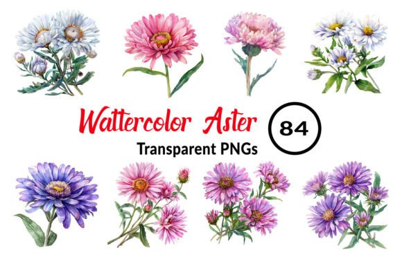 Download Watercolor Aster Flower Clipart - Flower Collection