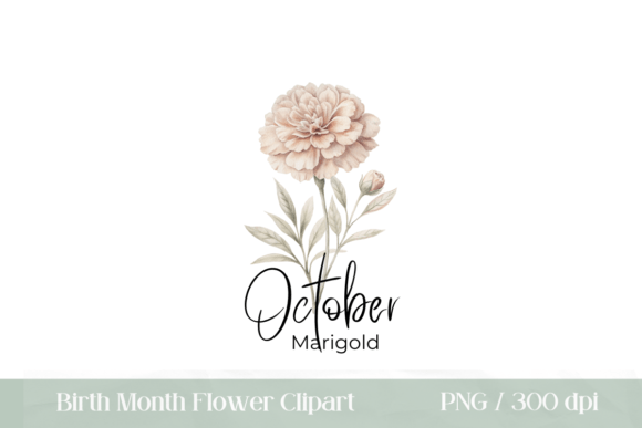 Download Birth Month Flower Marigold PNG - Flower Collection