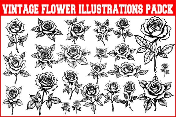Download Vintage Flower Illustrations Pack - Flower Collection
