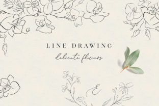 Download Line Drawing Orchid Flower Illustrations - Flower Collection