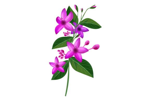 Download Violet Flowers from Tropical Jungle Plan - Flower Collection