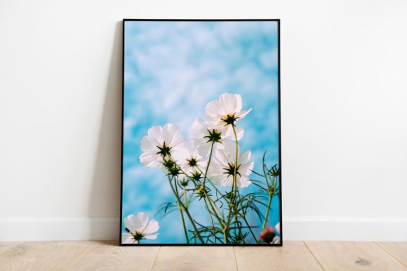 Download Flower Illustration Poster Watercolor - Flower Collection
