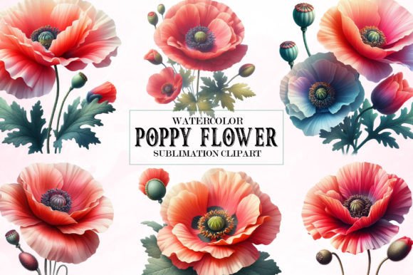 Download Watercolor Poppy Flower Clipart Bundle - Flower Collection