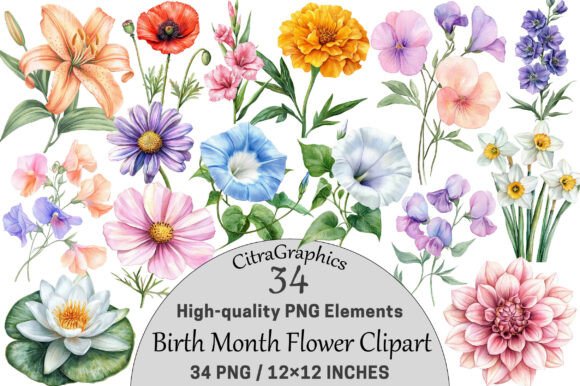 Download Watercolor Birth Month Flower Clipart - Flower Collection
